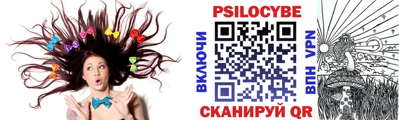 Псилоцибиновые грибы Cubensis  Цимлянск 